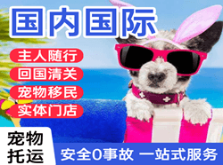 且末玉都空运代理国际宠物托运 【国